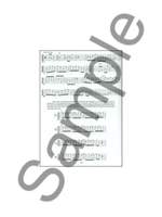Complete Dobro Player Product Image