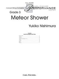 Yukiko Nishimura: Meteor Shower