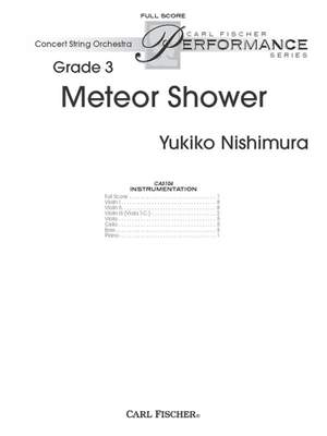 Yukiko Nishimura: Meteor Shower