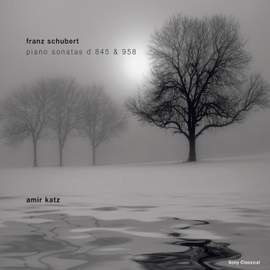 Schubert: Piano Sonatas Nos. 16 & 19