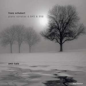 Schubert: Piano Sonatas Nos. 16 & 19
