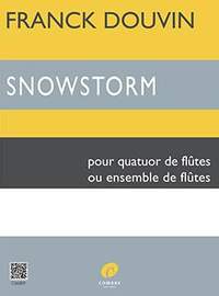 Franck Douvin: Snowstorm