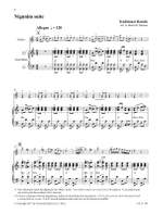 Klezmer Duets Product Image