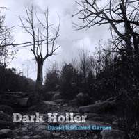 Garner, D: Dark Holler
