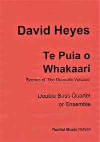 David Heyes: Te Puia o Whakaari