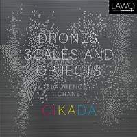 Crane: Drones, Scales and Objects