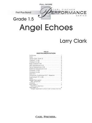 Larry Clark: Angel Echoes