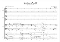 Luca Antignani: Veggio Senz'Occhi