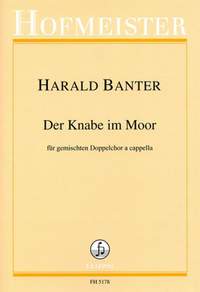 Harald Banter: Der Knabe im Moor