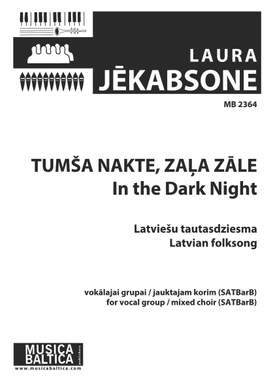 Jēkabsone, Laura: In the Dark Night