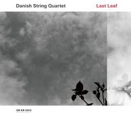 Last Leaf - Vinyl Edition