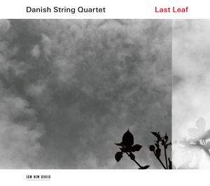 Last Leaf - Vinyl Edition