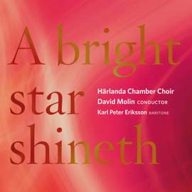 A Bright Star Shineth