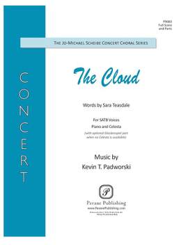Kevin T. Padworski: The Cloud