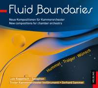 Fluid Boundaries