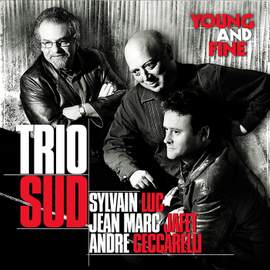 Young and Fine (feat. Sylvain Luc, Jean-Marc Jafet & André Ceccarelli)