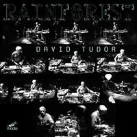David Tudor: Rainforest (Versions 1 & 4)