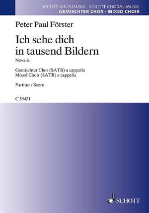 Foerster, P P: Ich sehe dich in tausend Bildern