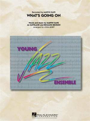 Marvin Gaye: What's Going On