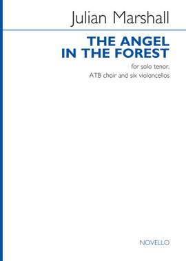 Julian Marshall: The Angel In The Forest
