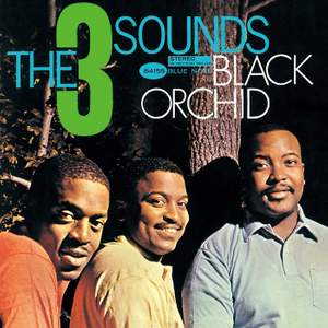 Black Orchid