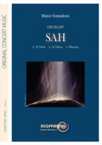 Marco Somadossi: Sah