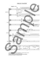 Nico Muhly: Small Raine Product Image