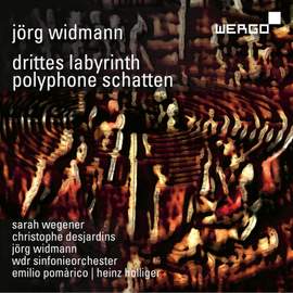 Widmann: Drittes Labyrinth
