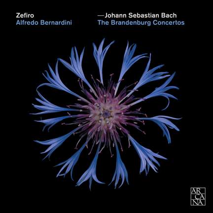 JS Bach: Brandenburg Concertos