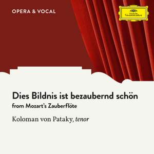 Mozart: Dies Bildnis ist bezaubernd schön