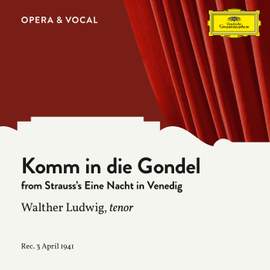 Strauss: Komm in die Gondel