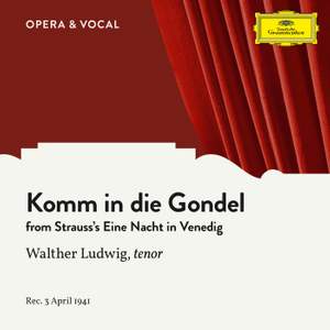 Strauss: Komm in die Gondel