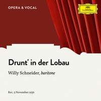 Strecker: Drunt' in der Lobau, Op. 290