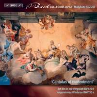 JS Bach: Secular Cantatas Vol. X