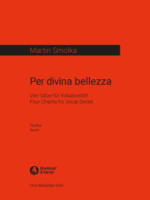 Martin Smolka: Per divina bellezza