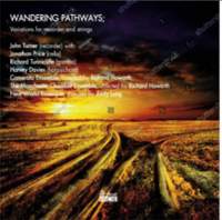 Wandering Pathways: Variations for Recorder and Strings