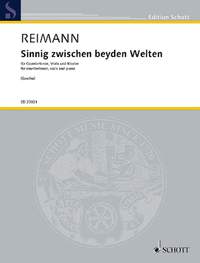 Reimann, A: Sinnig zwischen beyden Welten