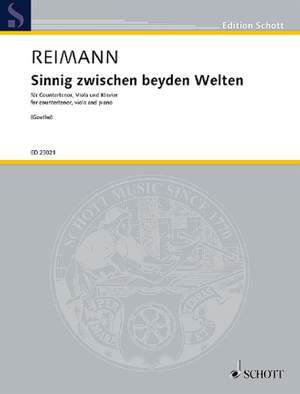 Reimann, A: Sinnig zwischen beyden Welten