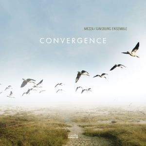 Convergence - Vinyl Edition