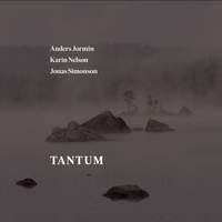 Tantum - Music for Flute, Alto Flute & Overtone Flute