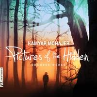 Kamyar Mohajer: Pictures of the Hidden
