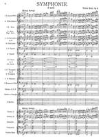 Rabl, Walter: Symphonie d- moll op. 8 Product Image