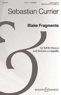 Currier, S: Blake Fragments