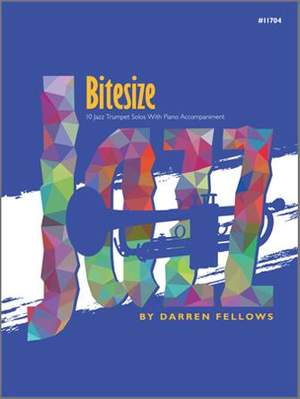 Darren Fellows: Bitesize