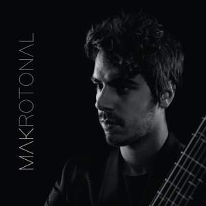 Makrotonal Guitar