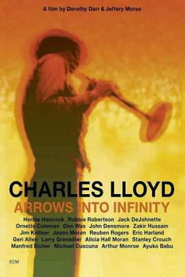 Arrows into Infinity
