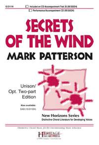 Mark Patterson: Secrets Of The Wind