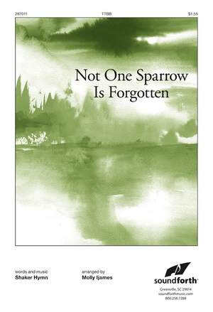 Molly Ijames: Not One Sparrow Is Forgotten
