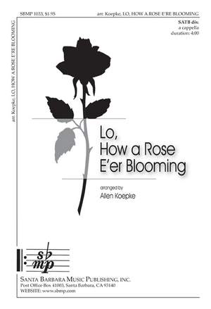 Allen Koepke: Lo, How A Rose E'er Blooming