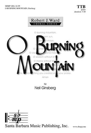 Neil Ginsberg: O Burning Mountain